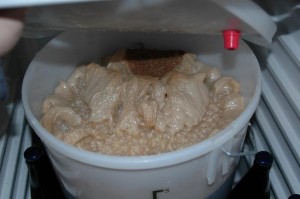 First ferment with "fingers of foam"
