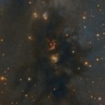 Herbig Haro 22, 24 & McNeil's Nebula