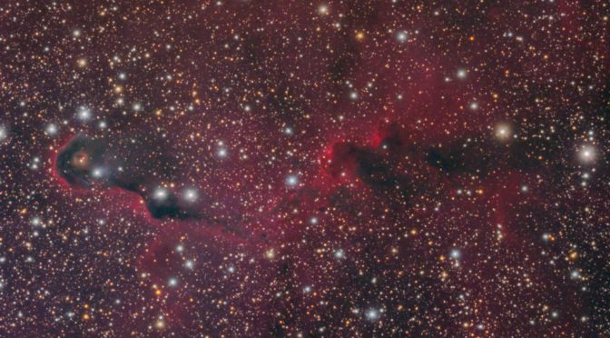 IC1396A – Elephant’s Trunk Nebula