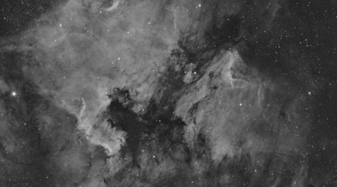 North America and Pelican Nebulae