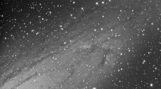 M31, NGC206 and the Bologna Catalogue