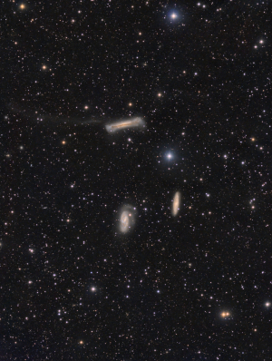1_Leo-Trio-EEYE-Rotated