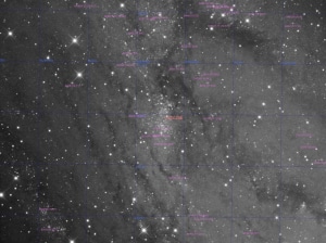 NGC206_Annotated
