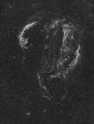 The Cygnus Loop SNR (containing NGC 6960,9674,6979,6992,6995 and Pickering