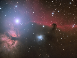 Horsehead and Flame Nebulae