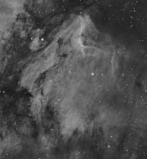 The Pelican Nebula (IC5070)