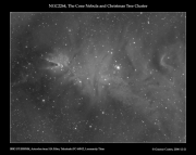The Christmas Tree cluster and Cone Nebula (NGC2264) in Monoceros