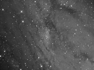 NGC206, located in the Andromeda Galaxy (Luminance only)