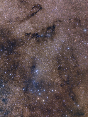 Collinder 399 - The Coathanger and nearby dark nebulae