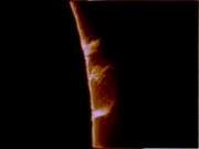 H-Alpha Prominences - 28th Aug 2005