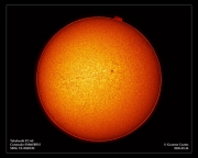 Sun in H-Alpha - 24th Sept 2005
